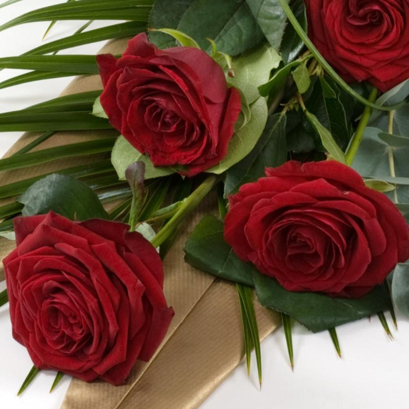 Single Rose Wrapped