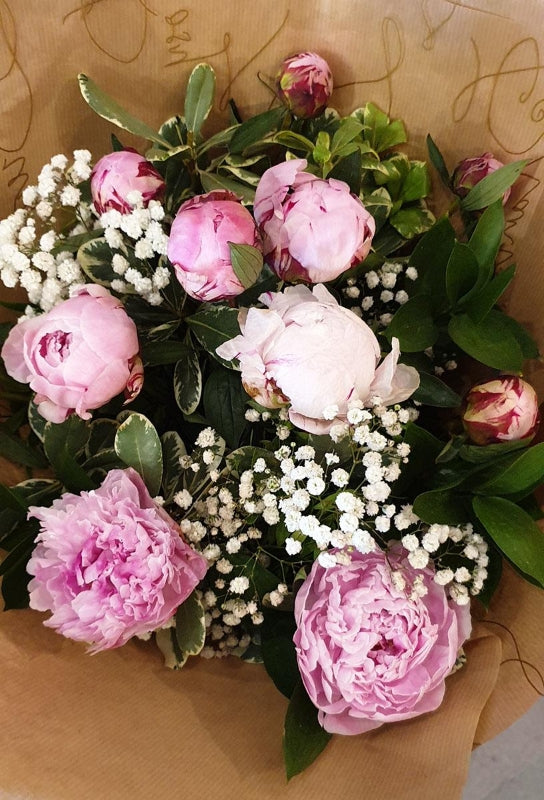 Queen Of Peonies
