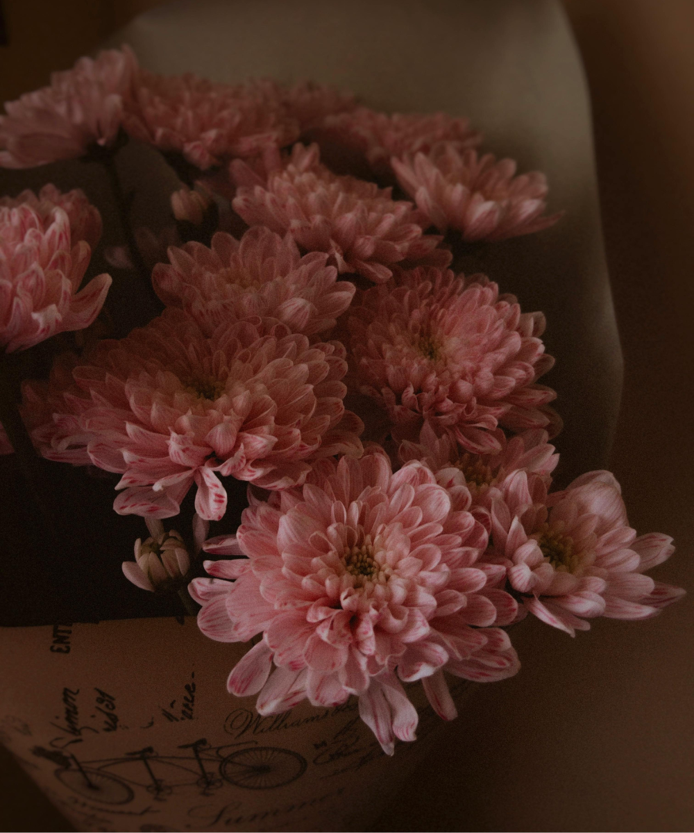 Every Day Flowers