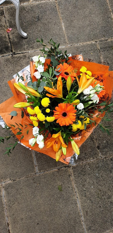 Orange Delight