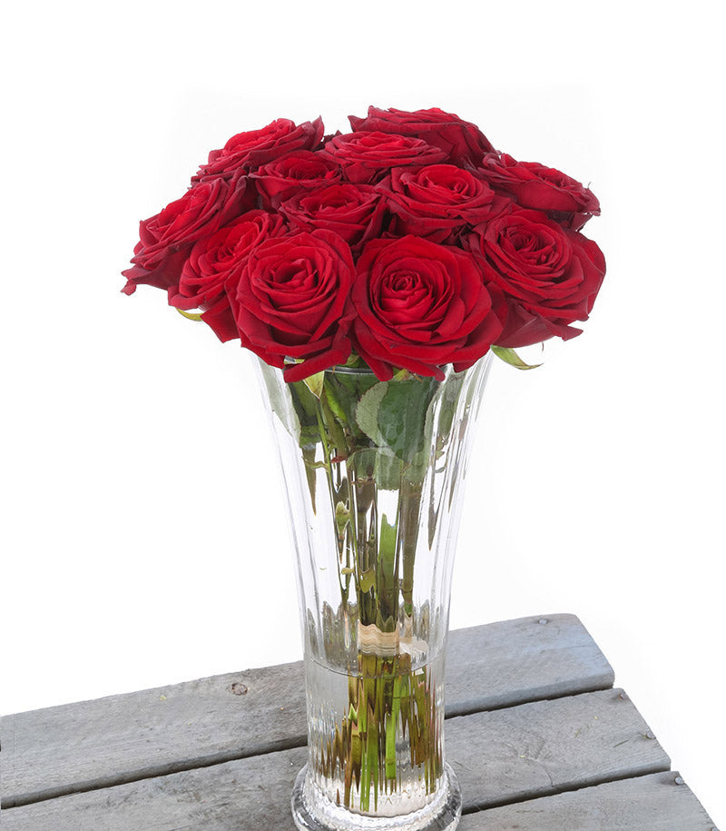 12 Red Rose Vase*